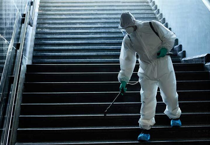 Böcek İlaçlama Böcek İlaçlama