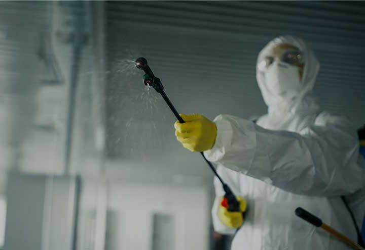 Böcek İlaçlama Böcek İlaçlama