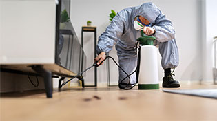 hizmetler-2 https://wolvesbocekilaclama.com/wp-content/uploads/2025/11/hizmetler-2-1.jpg