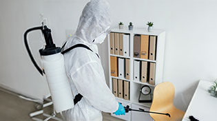 hizmetler-4 https://wolvesbocekilaclama.com/wp-content/uploads/2025/11/hizmetler-4-1.jpg